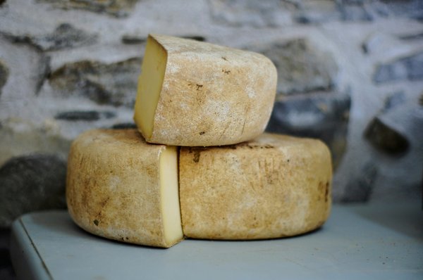 Où trouver des cours de fabrication de fromage en Italie à bas prix?
